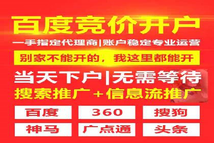 搜索引擎营销（SEM）成功案例详解
